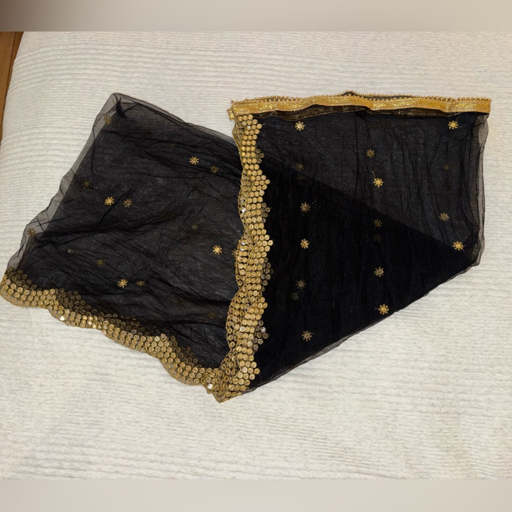 Black Net Dupatta with Mirrorwork